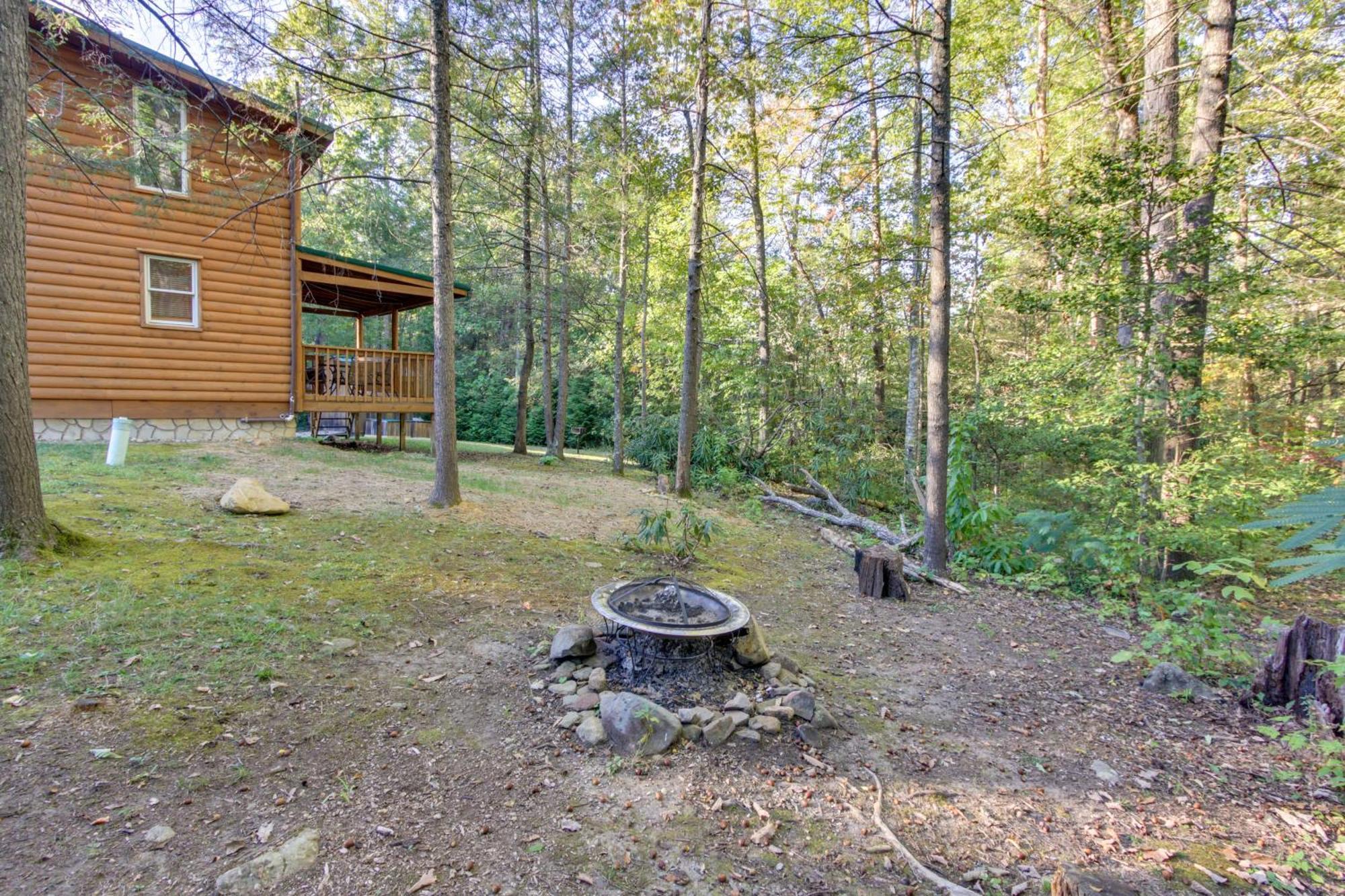 Pet-Friendly Cosby Log Cabin With Backyard And Porch! المظهر الخارجي الصورة